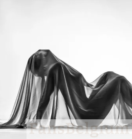 Elise Nauws @elise_nauws OnlyFans model foto bedekt haar lichaam met een dunne doek